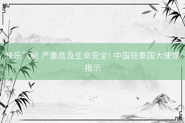 快乐飞艇 严重危及生命安全! 中国驻泰国大使馆指示